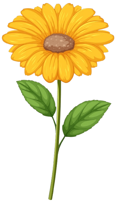 Decorative image